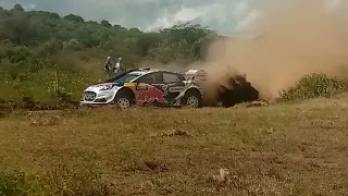 Dramatic Drifts turns WRC Safari Rally into Thrilling Action