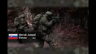 Slovak Armed Forces²⁰¹⁹ x Military motivation