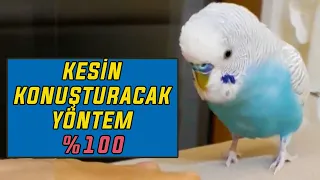 KUŞUNUZA DİNLETİN KONUŞSUN | KESİN YÖNTEM | 1 SAAT