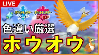 【もう出た！？】 ダイマックスアドベンチャーで色違いホウオウ厳選！ 光るお守りあり！SP！ その最終回 【ポケモン ソード / シールド】