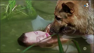 Serie Rex : Rex saves a girl from drowning