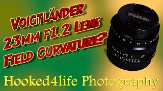 The Voigtländer 23mm f1 2 field curvature issue: Is it really bad enough to avoid buying this lens?