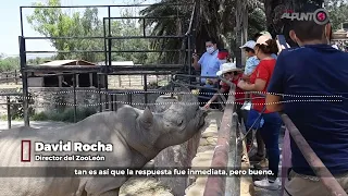 Zoológico de León busca reforzar su seguridad tras accidente de adolescente