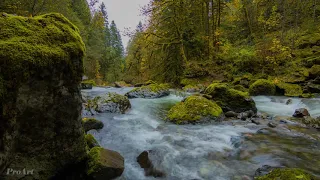 Beautiful Nature Video in 4K Ultra HD   Autumn River Sounds   5 Hours Long mp4