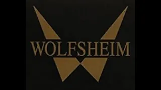 Wolfsheim   Once in a Lifetime subtitulada