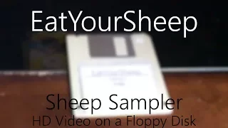 HD Video on a Floppy Disk |Sheep Sampler|