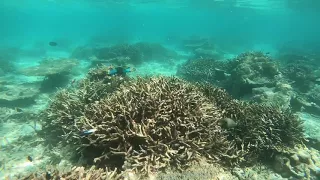 Fihalhohi Maldives Video by GoPro hero 6 14/12/17