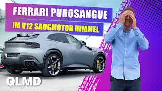 Ferrari Purosangue | V12 Sauger 🤯 | Das exklusivste SUV der Welt mit 725 PS | Matthias Malmedie