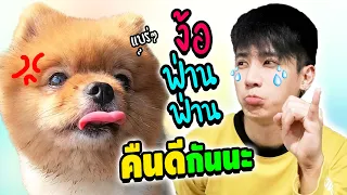 ง้อด่วน!? ฟ่านๆงอลไม่อยากคุยกับปะป๊า l ก็ผมมีลูกเป็นหมา EP.132