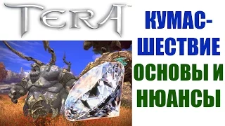 Кумасшествие, что это такое и как в это играть - TERA Online (Гайд)