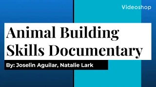 Animal Building Skills Documentary