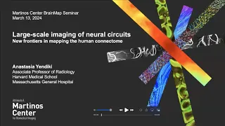 BrainMap: Large-scale imaging of neural circuits: new frontiers in mapping the human connectome