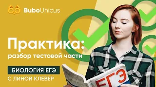 Практика | БИОЛОГИЯ ЕГЭ | Лина Клевер