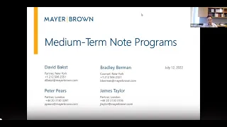 Medium-Term Note Programs