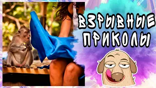 6 МИНУТ ВЗРЫВНЫХ ПРИКОЛОВ / ПРИКОЛЫ / СМЕЙСЯ СКОЛЬКО ВЛЕЗЕТ