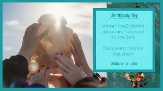 Winter the Dolphin's ashes are returned to the Sea | Clearwater Marine Aquarium | 13 - 01 - 2022