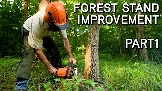 Forest Stand Improvement With Dr. Craig Harper LIVE SEMINAR | Part 1