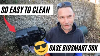 Oase Biosmart 36000 - The Easiest Pond Filter To Clean!