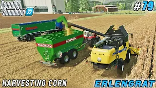 New garden sprayer, corn harvest, cow feeding | Erlengrat | Farming simulator 22 | Timelapse #79