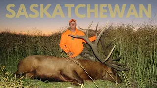 360"+ Giant Saskatchewan Elk Hunt