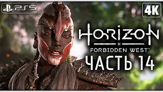 HORIZON FORBIDDEN WEST (Запретный Запад) ➤ Прохождение [4K PS5] ─ Часть 14 ➤ Horizon 2 На Русском