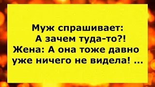 Анекдоты смешные до слёз! Самые смешные анекдоты за сентябрь