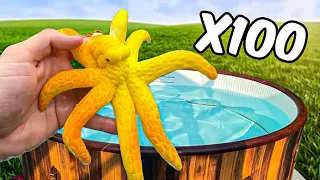 Growing 100 Expanding Sea Creatures in my Hot Tub