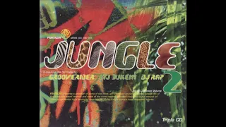 LTJ Bukem - Fantazia Takes You Into The Jungle 1994