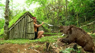 Detect wild boar herds in the bush, set wild boar traps | Survival alone | Phượng Pú