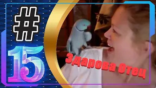 Лучшие приколы | COUB | Funny moments | ЯНВАРЬ 2021 #15