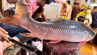 I Never Seen!! Giant Rohu Fish Cutting Live In Fish Market | Fish Cutting Skills