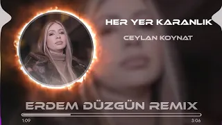 Ceylan Koynat - Her Yer Karanlık (Erdem Düzgün Remix)