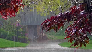 Rain, thunder, thunderstorm Relaxing sounds of nature Sleeping sounds of summer rain