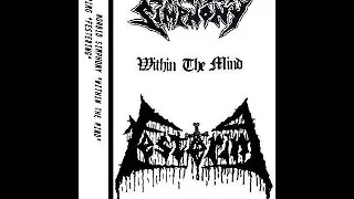 Festering / Morbid Simphony - Festering / Within The Mind (SPLIT STREAM)