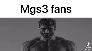 Metal gear slander