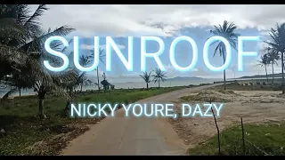 Nicky Youre and Dazy (SUNROOF LYRICS)