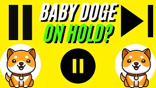 BABY DOGE Road To 100X | EP. 46 | What Comes Next?