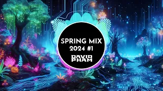 Spring 2024 Tech House & Techno Mix | Infectious Beats for the Season"