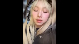 chaeyoung singing kill bill by sza