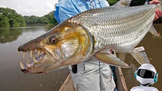 10 ХИЩНЫХ РЫБ, с которыми ЛУЧШЕ НЕ СВЯЗЫВАТЬСЯ