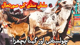 Multan Cow Mandi me Nukryy or Chotty janwar Qurbani 2021 k janwar latest update on Sunday