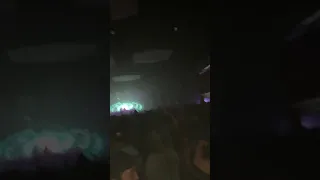 Diplo at echo stage 9/15/19