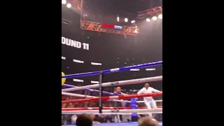 Gervonta Davis celebrated his win with grear Back flip #gervontadavis #boxing #tysonfury