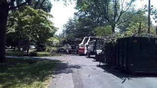 Loading debris into our dumpsters