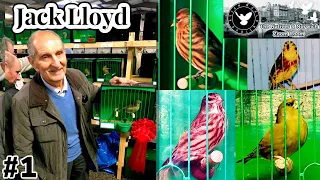 Jack Lloyd: Greenfinches, Selective breeding and feeding PART 1  | Natives & Norwich Zoom Room |