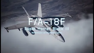 Ace Combat 7 | F/A-18F Block III Demo | Cutting-Edge Aircraft Series