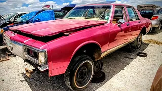 1983 Box Chevy Caprice Classic Junkyard Find