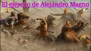 El ejército de Alejandro Magno