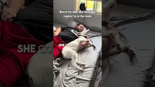 Her dog is both deaf and blind but can still pick up her scent ❤️