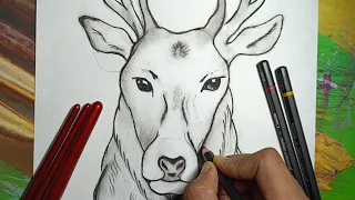 Deer trending drawing in 2024 || how to draw a deer